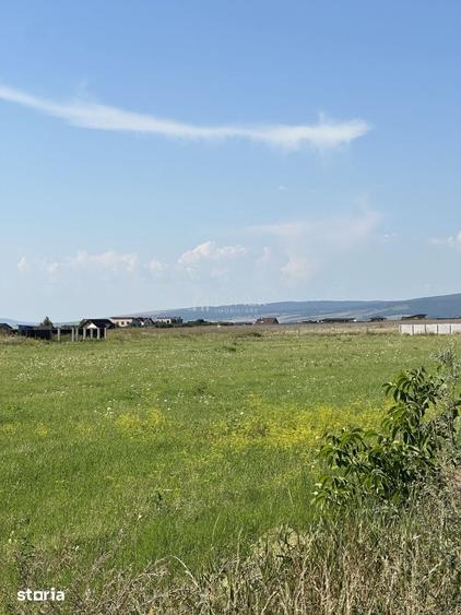 Terenuri pe ?oseaua Bra?ovului in Bod spre Sanpetru - 16