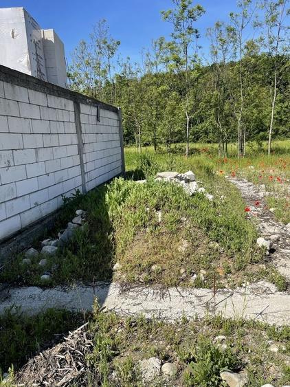 Casă cu 3 camere în Exterior Vest