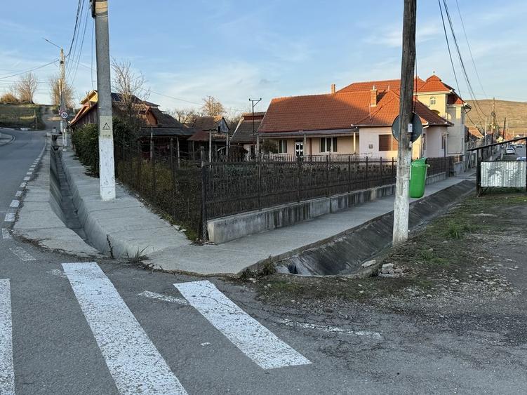 Casă cu 4 camere cu Canalizare în Viișoara