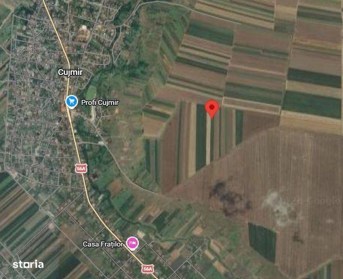 Teren de 10000 mp, în Plenița