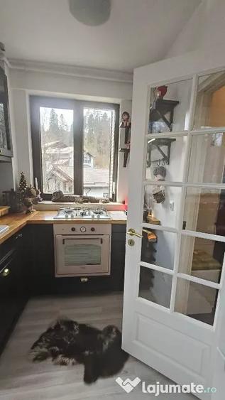 Garsonieră decomandată în Clăbucet