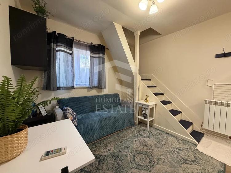 PARCUL CAROL - Viilor | Chirie Casa 2 Camere - 9