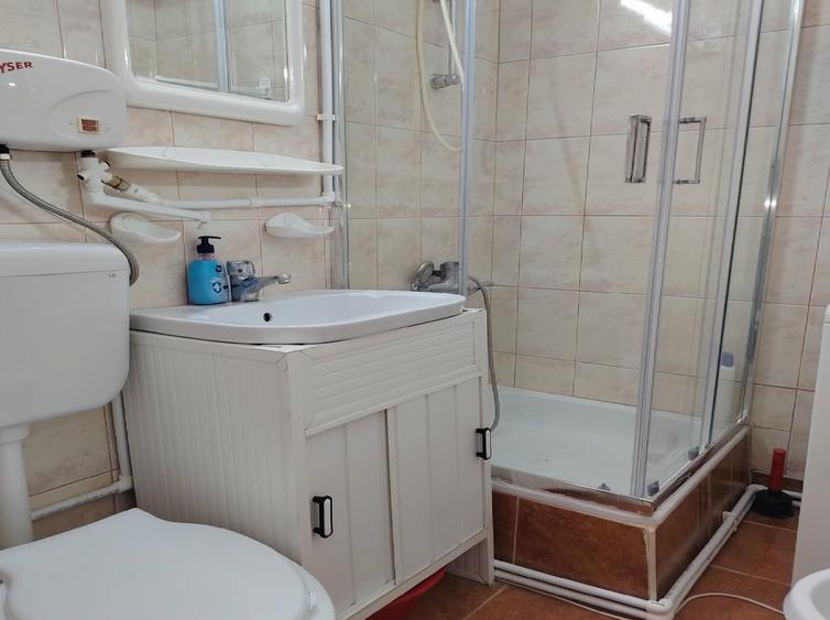Garsonieră semidecomandată, mobilată în Brazda lui Novac