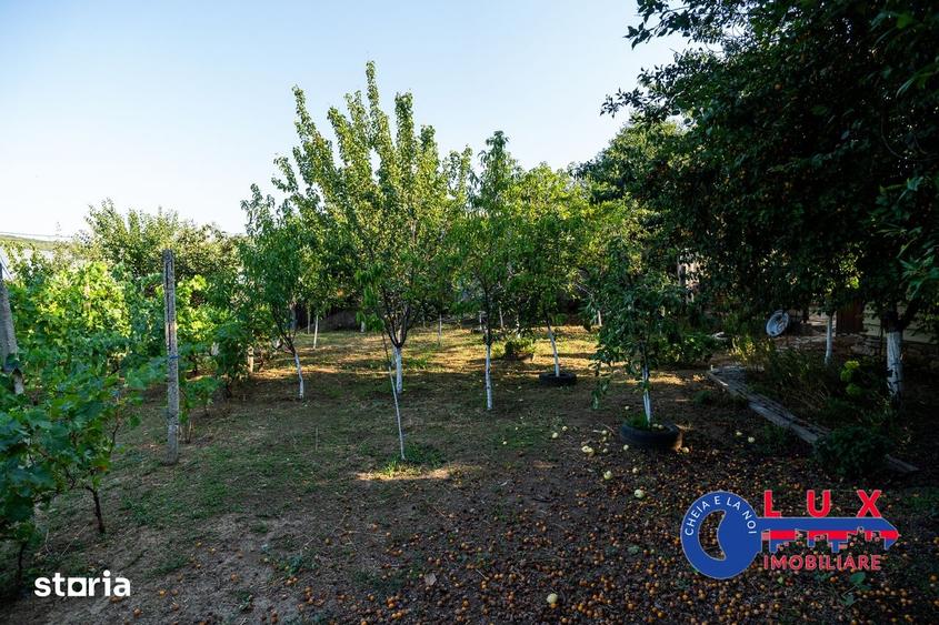 Casă cu 5 camere cu Teren 923 Mp în Niculițel