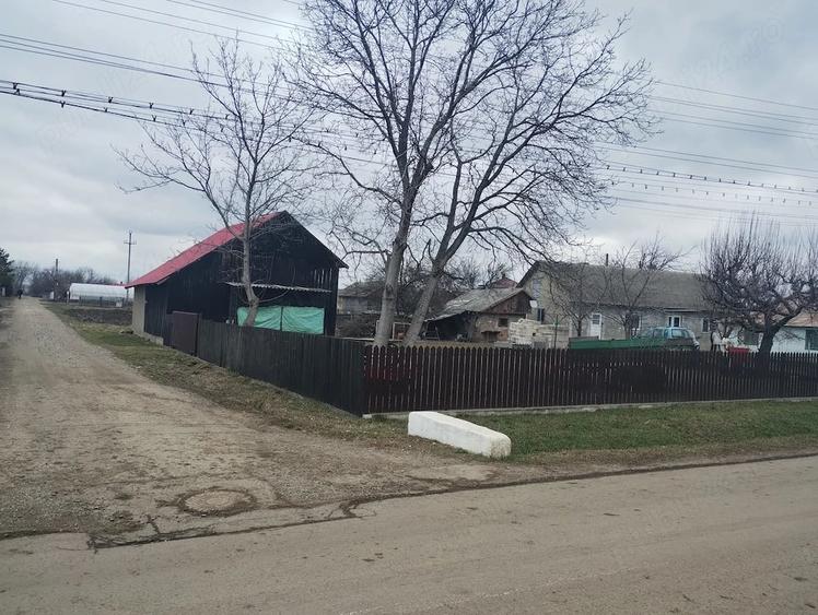 Casă cu Teren 3976 Mp în Dumbrăvița
