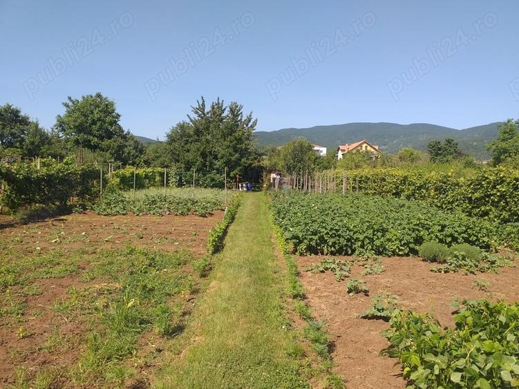 Teren de 1400 mp, în Micești