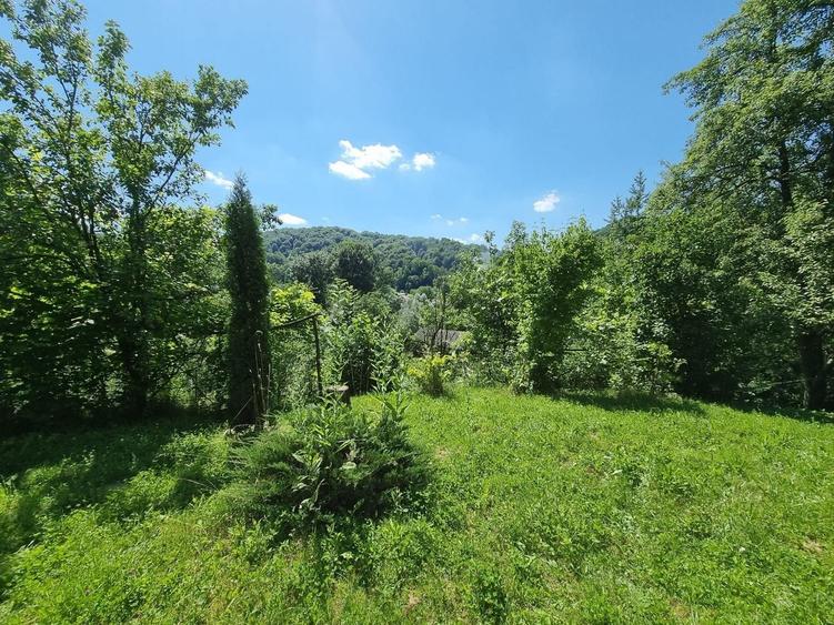 Casă individuală cu 3 camere cu Teren 5000 Mp în Plaiu (Provița de Sus)