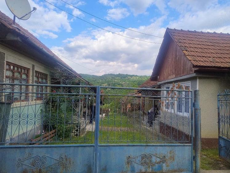 Casă cu 3 camere cu Teren 5000 Mp în Sârbi