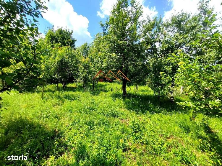 Casă cu 3 camere în Poiana