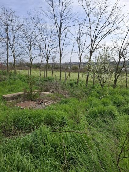 Teren Construcții intravilan de 2500 mp, în Tuzla