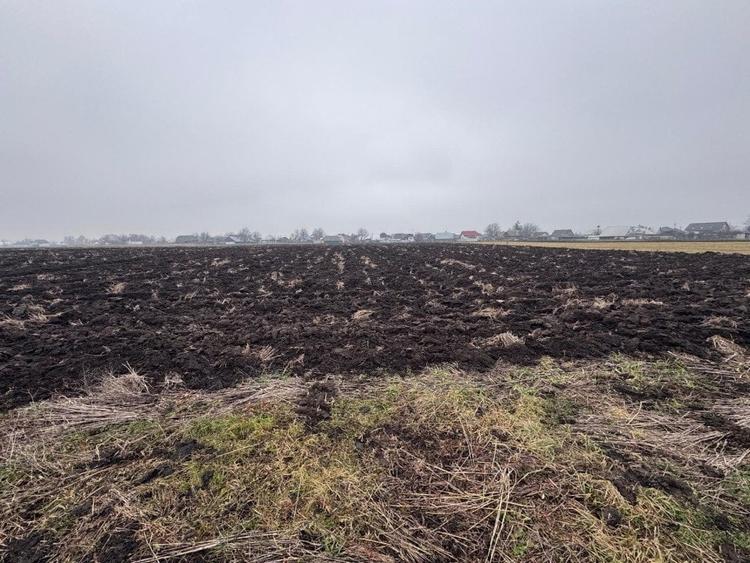 Teren Construcții intravilan de 3800 mp, în Frătăuții Vechi