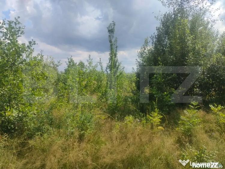 Teren de 5857 mp, în Horodnic