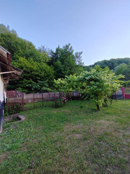 Casă individuală cu 4 camere cu Teren 8700 Mp în Băița