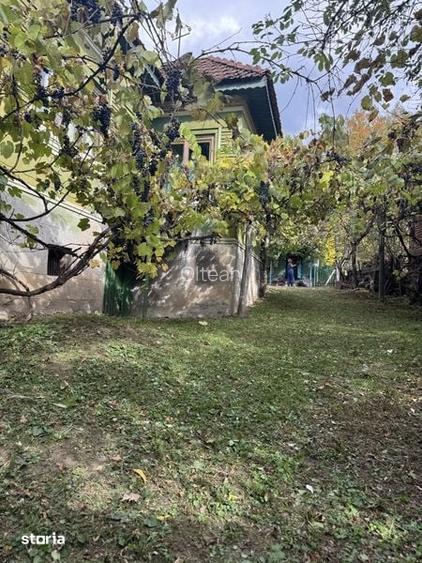 Casa de vanzare in sat Izvoarele jud HD