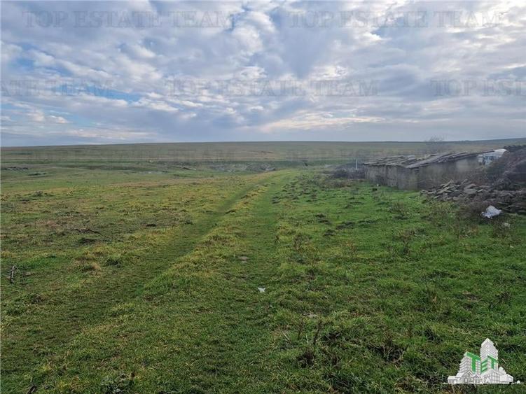 Teren Construcții intravilan de 4500 mp, în Cogealac