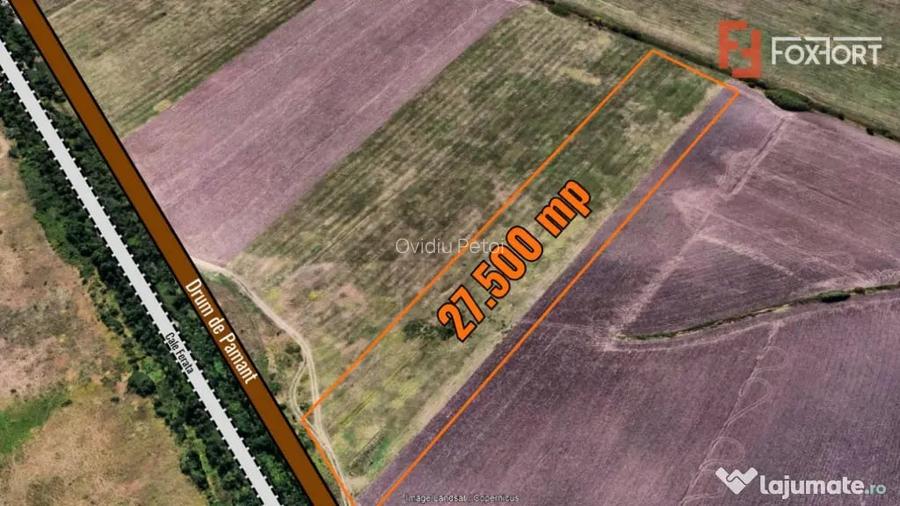 Teren extravilan 27.500 mp de vanzare in Timisoara-Zona Exte - Timisoara (Timis)