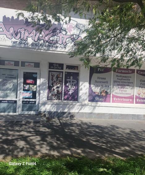 Spațiu comercial, de 85 mp, în Nicolae Bălcescu