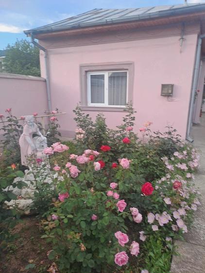Casă cu Teren 1000 Mp în Central