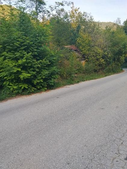 Teren Construcții intravilan de 755 mp, în Govăjdia