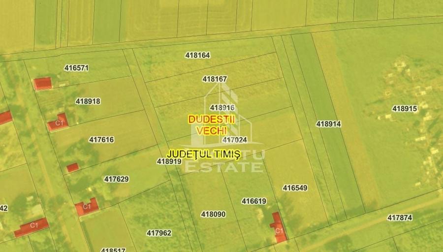 Teren agricol intravilan de 2572 mp, în Dudeștii Vechi