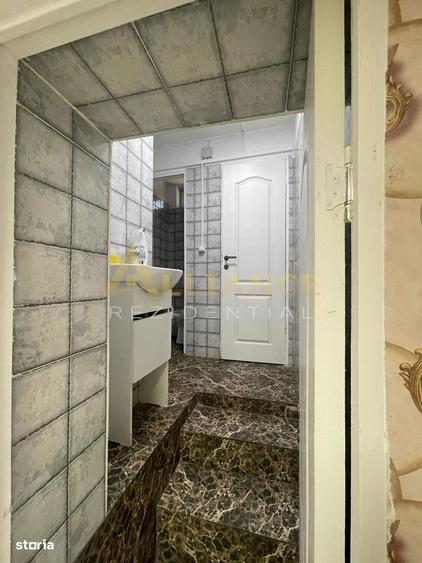 Brancoveanu-Nitu Vasile | Casa Individuala- D+P+1+M - 17