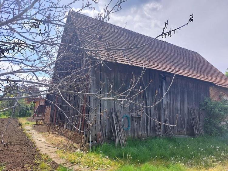 Spațiu comercial, în Albești