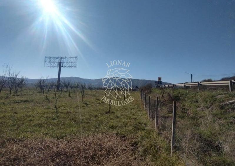 Teren Construcții intravilan de 12300 mp, în Crainimăt