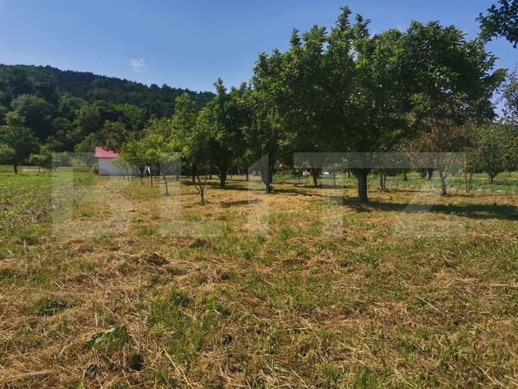 Casă individuală cu 5 camere cu Canalizare în Leșnic