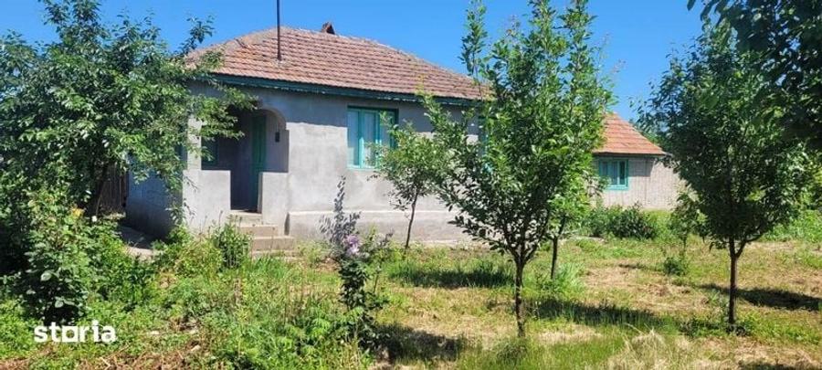 Teren de 1550 mp, în Colceag