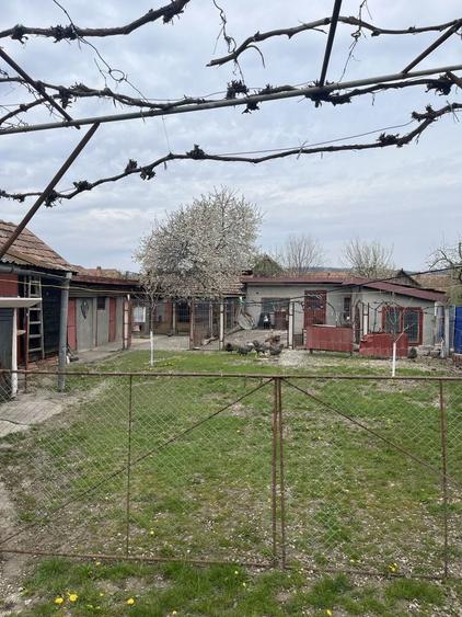 Casă cu 4 camere în Cuci