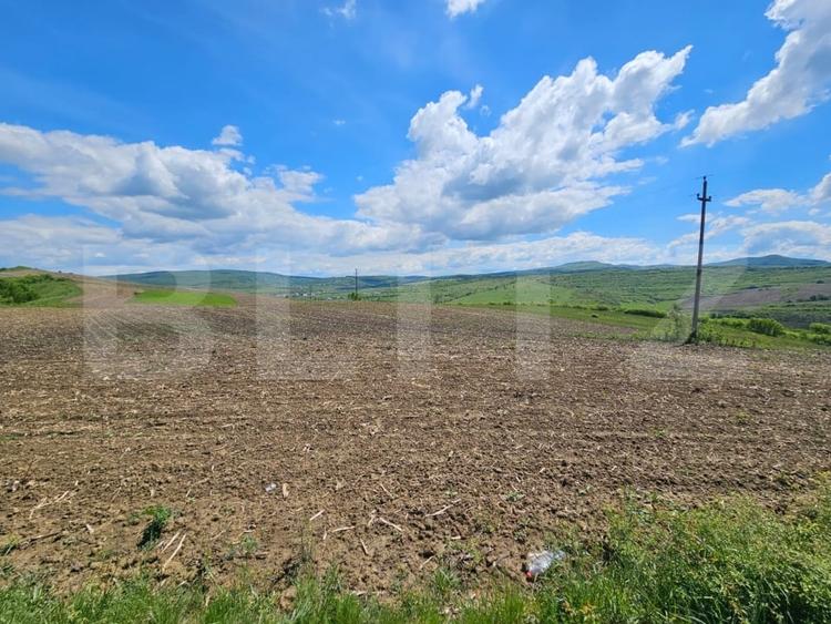 Teren agricol extravilan de 5800 mp, în Periferie