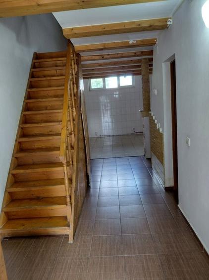 Spațiu comercial, de 50 mp, în Dosu Bricii