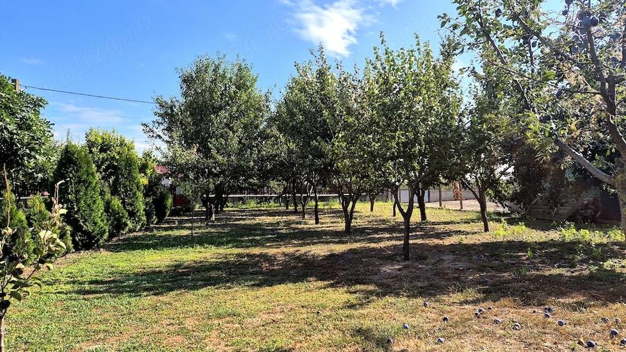 Teren intravilan 1.200+ mp | Livada & Acces privat 7m | Salcioara - Jurilovca - 3