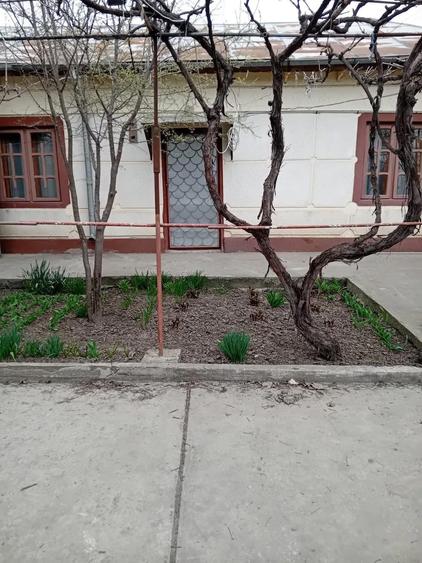 Casa de vanzare - 3