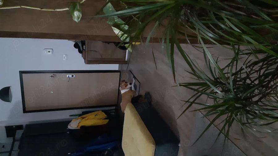 Apartament cu 2 camere decomandat în Prelungirea Ghencea