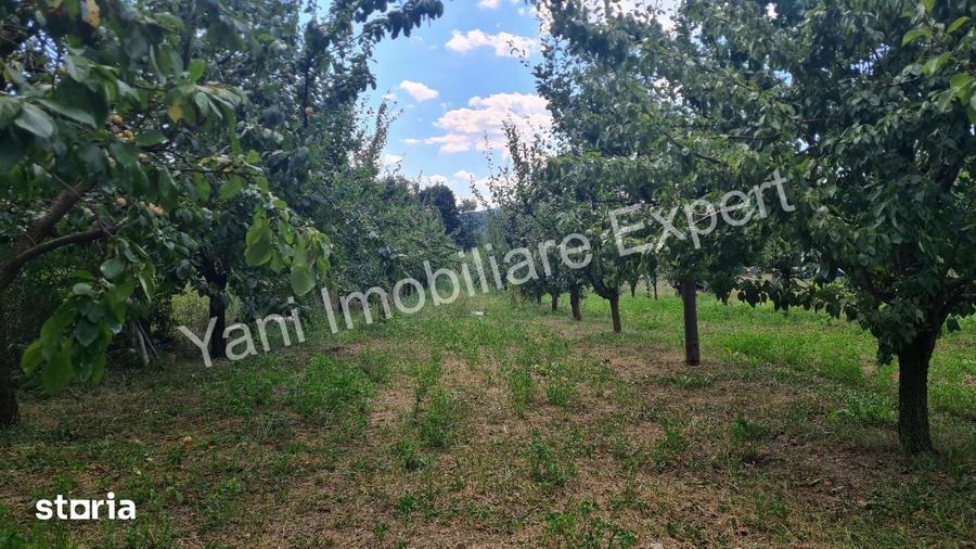 Teren de 40672 mp, în Cepari