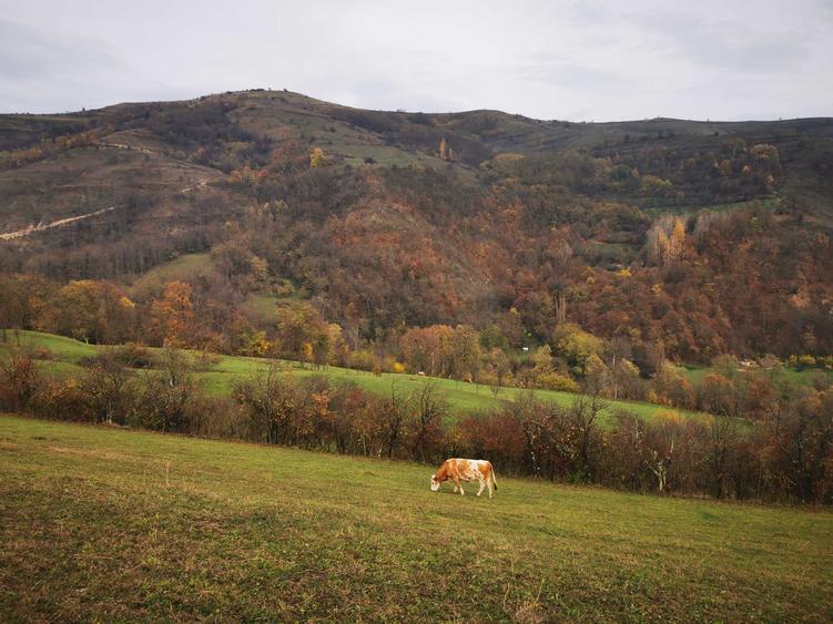 Casă cu 3 camere în Șelimbăr