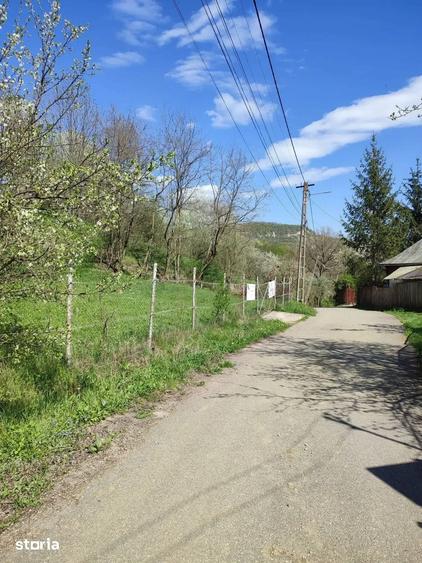 Teren de 5500 mp, în Provița de Sus