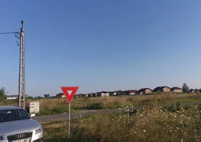 Domnesti If 2500 mp intravilan str Merisorului - 10