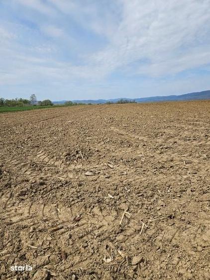 Vanzare teren agricol extravilan - 2