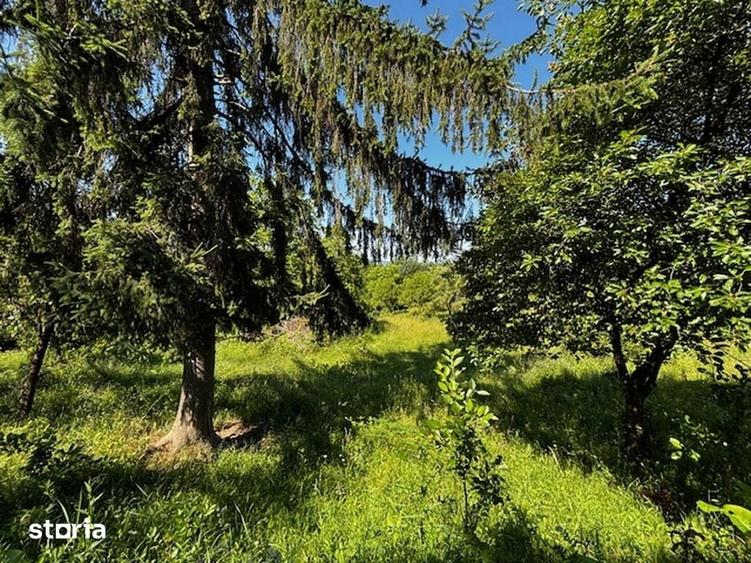 Teren de 3100 mp, în Dăești