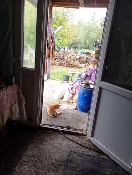 Apartament cu 2 camere decomandat în Osoi
