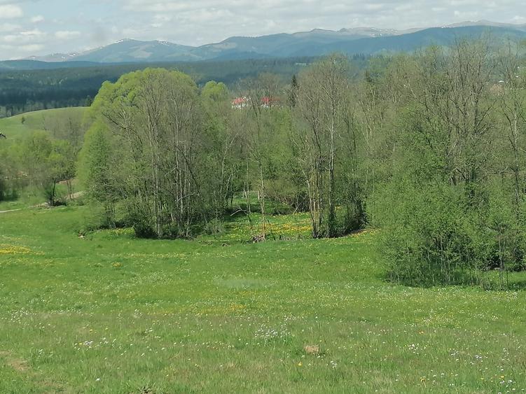 Teren de 45000 mp, în Ortoaia