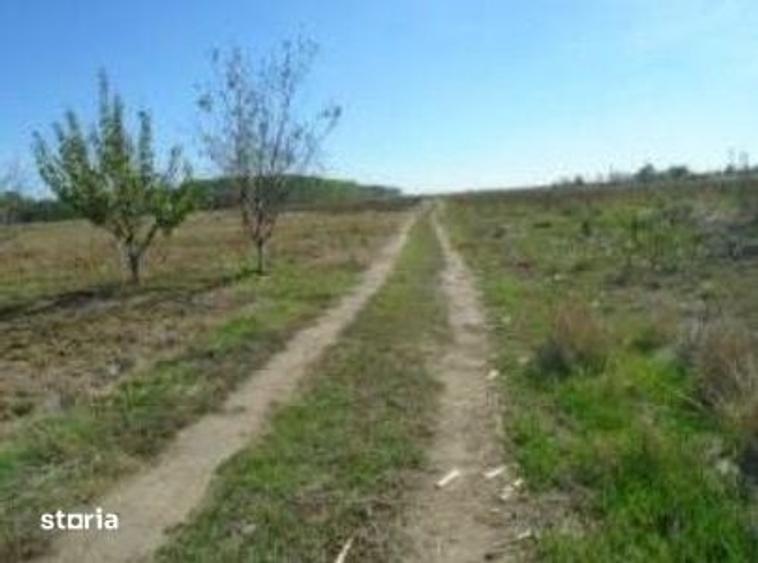 Teren de 613 mp, în Brânceni