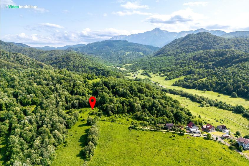 Teren Construcții extravilan de 8800 mp, în Exterior Est