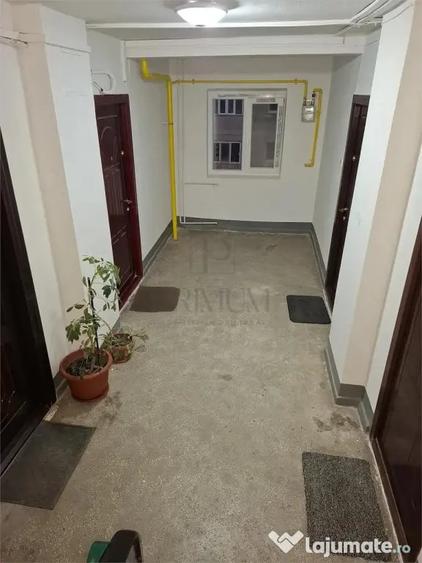 Apartament 1 camera-Ac-Stefan cel Mare - Timisoara (Timis) - 7