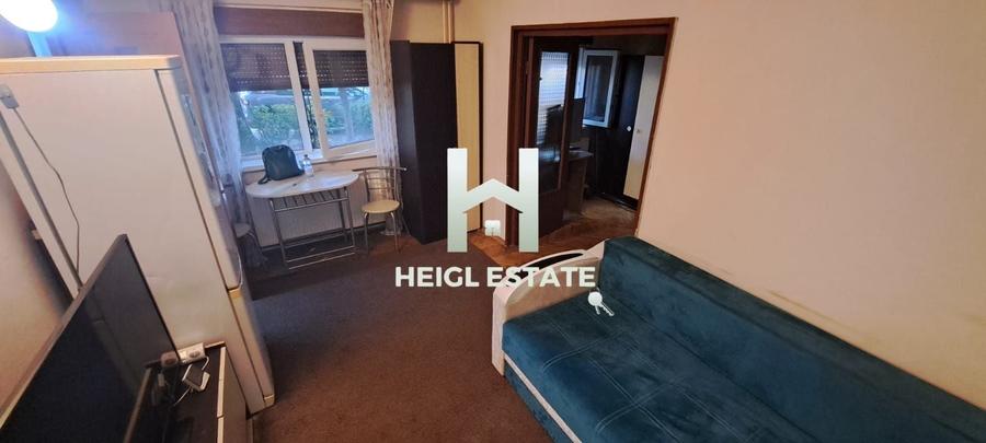Garsonieră în Șagului