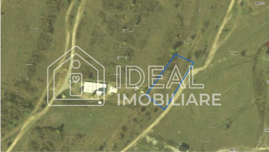 Teren agricol extravilan de 1500 mp, în Cârțișoara