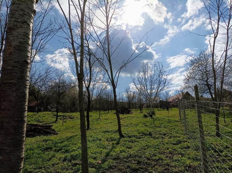 Teren de 2200 mp, în Central