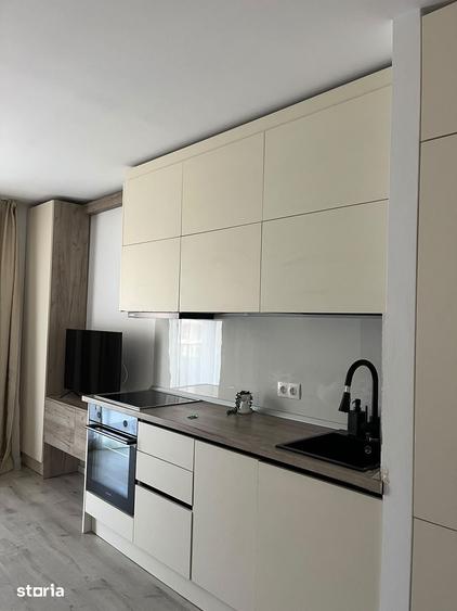 STUDIO DE INCHIRIAT | H PIPERA LAKE - 9